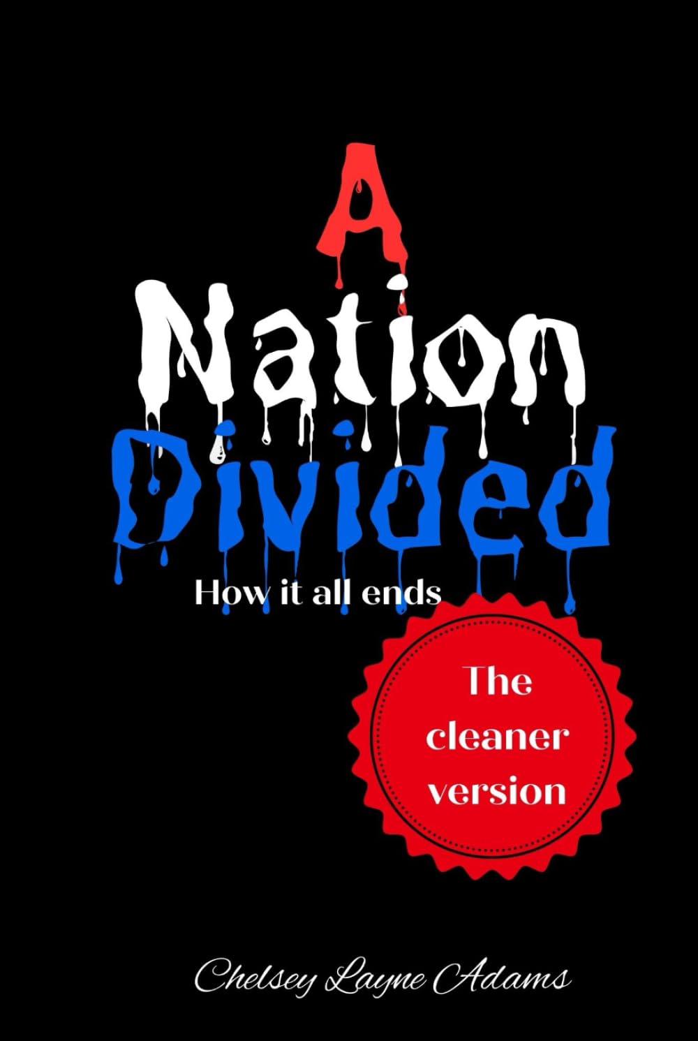 A Nation Divided: How it all ends