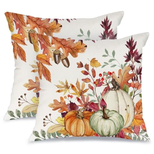 Fall Pumpkin Throw Pillow Covers 18x18, 2 Pack - image 1