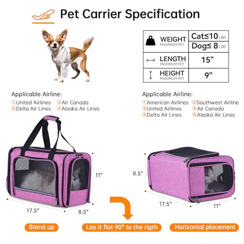 Groxkox transportadora para gatos transportadora para viagens de animais de estimação em avião aprov
