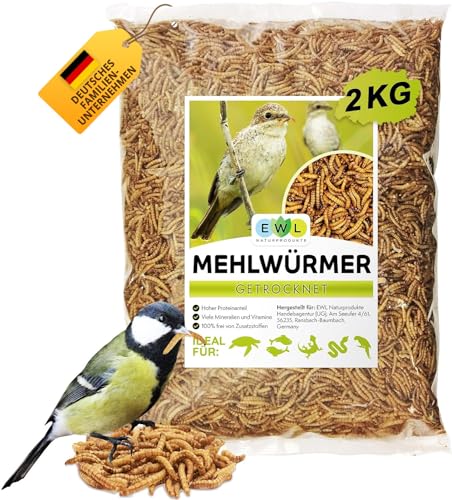 EWL Naturprodukte Mehlwürmer getrocknet 2 kg (13 L), Insektensnack für Vögel, Fische, Schildkröten, Nager und Reptilien