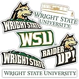 Desert Cactus Wright State University Sticker Raiders Vinyl Decals Laptop Water Bottle Car Scrapbook T2 (Type 2)
