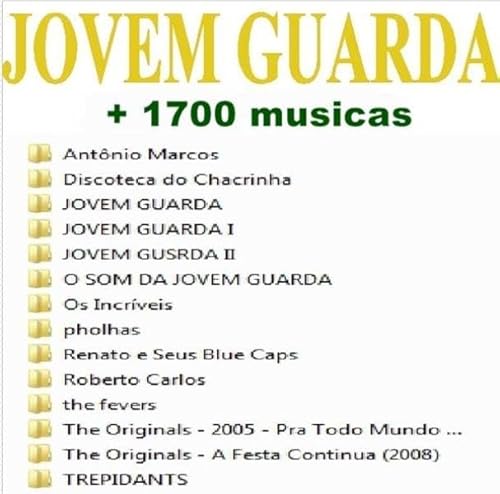 pendrive gravado musicas jovem guarda