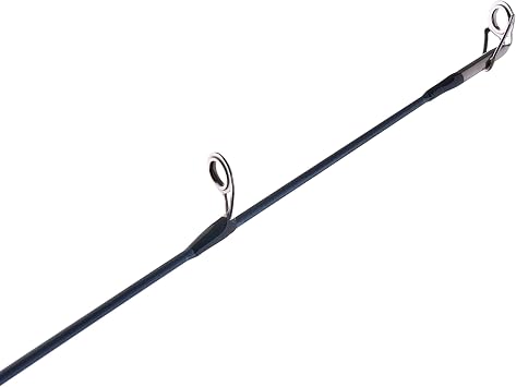 Pflueger President Casting Rod