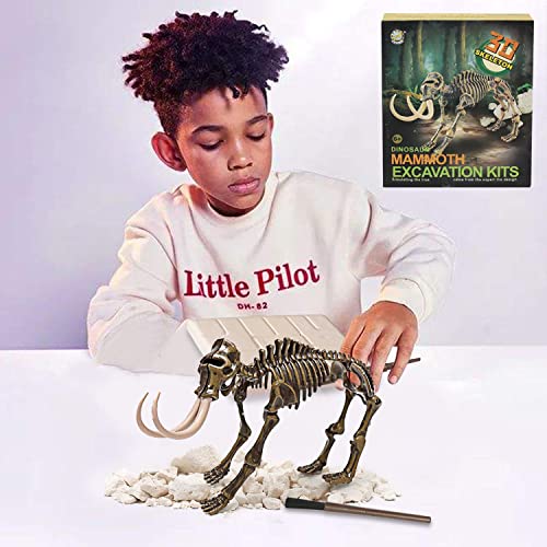 Georgie Porgy Dig it Out dinosauro gemma minerale