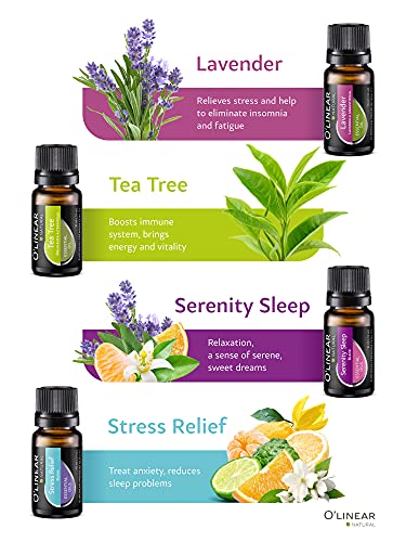 Top Essential Oils Set And Essential Oils Blends - Top 12/0.33Oz (10Ml) Essential Oils And Blends For Diffuser, Humidifier, Massage And Soul - Perfect Starter Kit Gift - Book & Life Recipes #TOP2