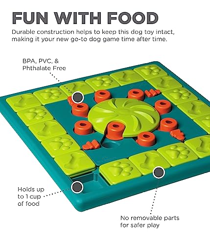 Outward Hound Nina Ottosson Multipuzzle Interactive Dog Treat Puzzle Toy, Expert Level #TOP3