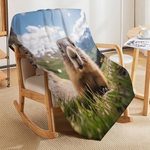 Couverture légère marmotte pour vos soirées cocooning