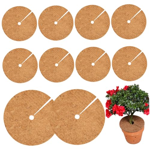 Vistnale Mulch Rings for Trees|Tree Ring Mulch Mat, 10PCS 12
