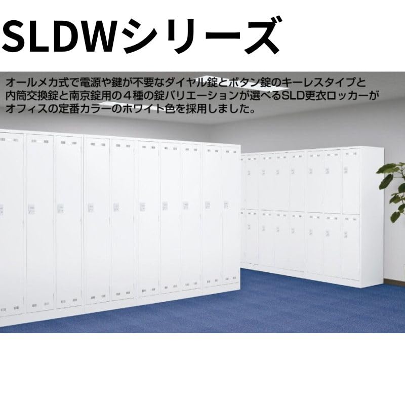 Amazon.co.jp: 【法人限定】 生興/セイコー SLDW-2-D (タﾞイヤル錠)2人