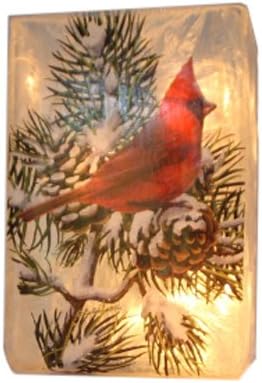 Stony Creek - Frosted Glass - 6" Lit Rectangle Vase - Winter Snow Cardinals