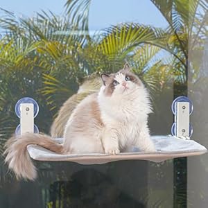 PEFUNY Perchoir de Fenêtre pour Chat Pliable sans Fil, Hamac pour Chat avec 4 Ventouses, Cadre Setal Robuste pour Fenêtres en Verre et Murs Intérieurs (Gris Moyen)