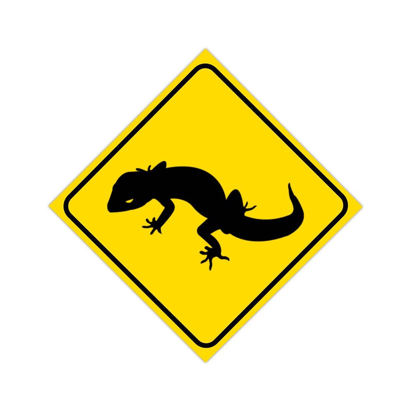 Amazon.com : Lizard Xing Metal Sign Beware of Lizards Crossing