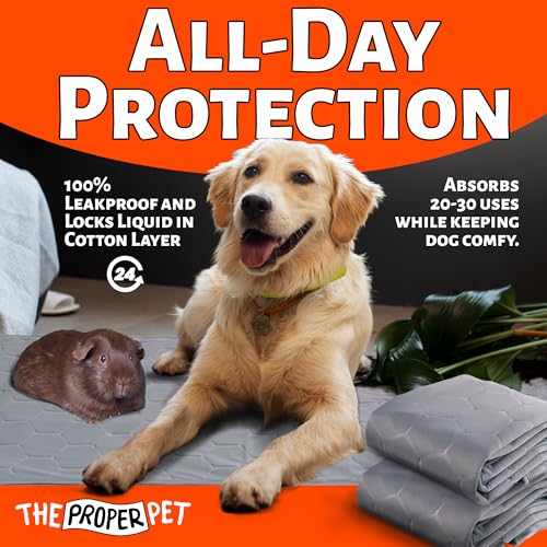 Image of 2 Pack Washable Guinea Pig Pee Pads - 20 inch x 47 inch Reusable Cage Liners for Small Animals - Super Absorbent Training Mat with Waterproof Bottom - Fleece Bedding for Rabbit, Puppy, Bunny, Hamsters