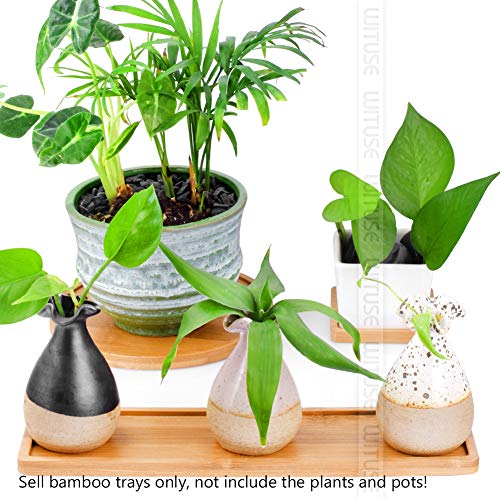 Ycdc Bamboo Plant Saucer, Mini Rectangle Bamboo Tray, Drainage Pot Saucer, Rectangular Wooden Tray, Succulent Planter Tray Bonsai Flower Boxes Tray, Whole Size 10.43X2.87X0.35 Inch #TOP5