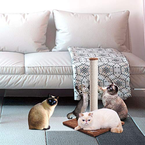 Fluffy Paws – Cat Scratching Post With Cat Toy | 25" H Scratching Post Includes Spring Toy To Amuse Your Kitty | Keeps Cats Claws Busy, Saving Your Furniture | 16 X 16 Base, White/Beige #TOP6