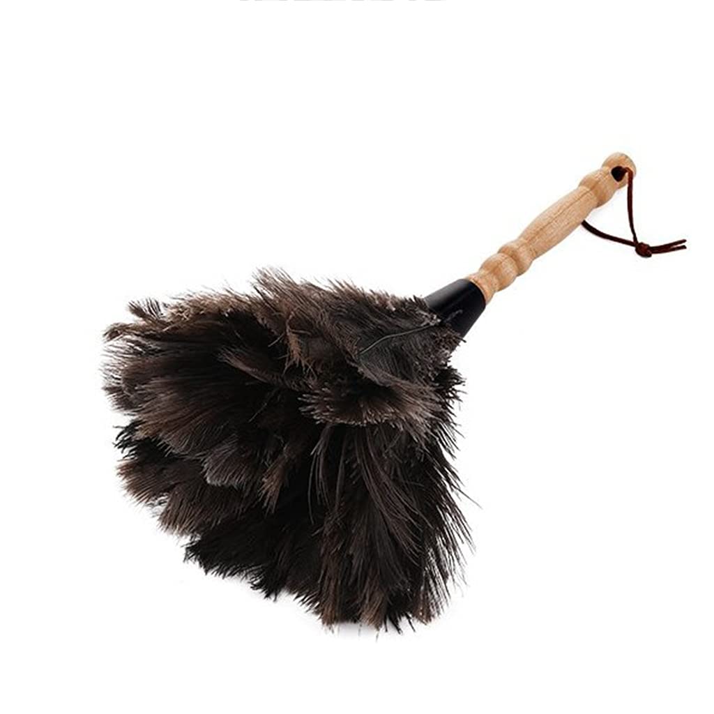Plumero de Plumas de Avestruz, Mango de Madera Maciza, Cepillo de Mano para tareas domésticas, Productos de Limpieza, Plumero de Plumas de Avestruz