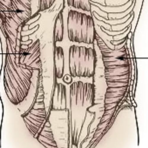 Episode 006: Engaging core muscles