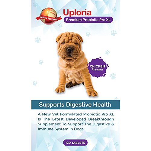Uploria Pet World 120 Probiotics For Dogs Helps Prevent Digestive Issues And Boosts Dogs Immune System Also Dog Probiotic Improves Overall Well-Being And Is UK Manufactured - Image 6