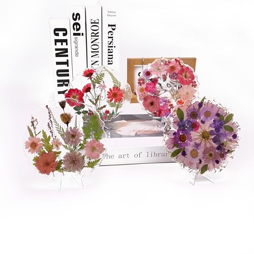 Set de flores secas naturales 140 piezas para manualidades miniatura 7