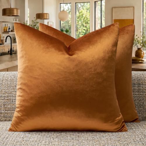 Image of GIGIZAZA Decorative Couch Throw Pillow Covers,Burnt Orange Square Pillow Cushion Covers 24x24,Pillow Cases Velvet Pillow Covers (Cinnamon, 24 x 24- Set of 2)