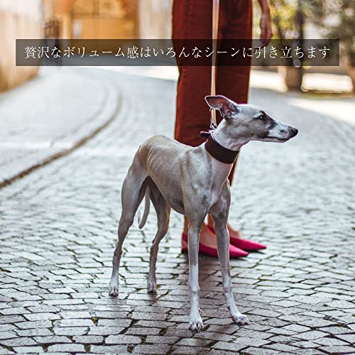 Ferplast 75137958 Hundehalsband VIP CW15/32, aus Leder, gepolstert, Breite: 1,5 cm, Halsumfang: 26-32 cm, braun