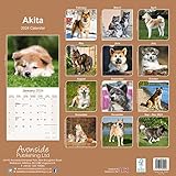 Zoom IMG-1 akita calendar 2024 square dog