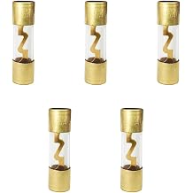 BDZMC 60A Gold Plated Glass Inline Car Audio Fuse, 5Pack for Auto/Marine Audio Stereo Amplifier Protection