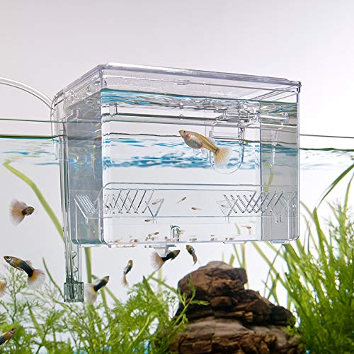 Amazon | スドー プラスチック 外掛式産卵飼育ボックス サテライト 1.2