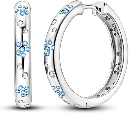 925 Sterling Silver Women Earrings,Large Round Hoops,Sparkling Star and Moon Earring, Various Hypoallergenic Earrings,Gift for Women