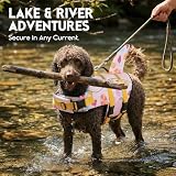 ASENKU Schwimmweste Hund, Hunde Rettungsweste zum Schwimmen, Bootfahren, Hunde Hai Schwimmwesten, Hunde Lebensretter Badeanzüge für Pool, Hunde Wasser Schwimmweste Sommerrosa S