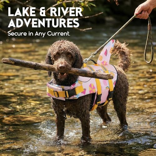 ASENKU Schwimmweste Hund, Hunde Rettungsweste zum Schwimmen, Bootfahren, Hunde Hai Schwimmwesten, Hunde Lebensretter Badeanzüge für Pool, Hunde Wasser Schwimmweste Sommerrosa S