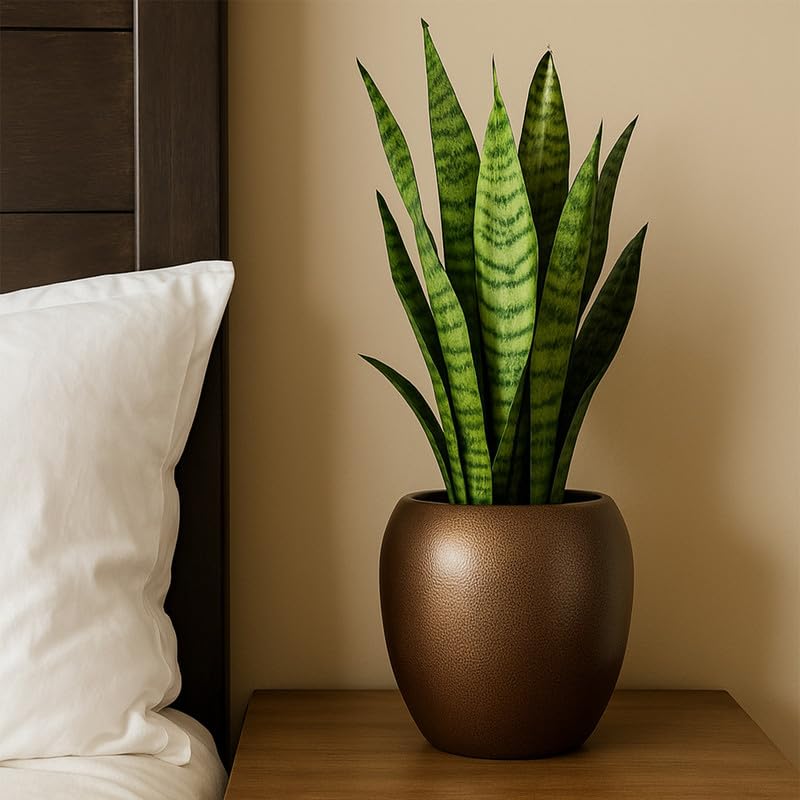 Image of CINAGRO Metal Planter Pot for Indoor Plants, Round Decorative Flower Pot, Rust-Resistant, Modern Plant Holder for Home, Balcony, Office (13.97 x 12.7 cm, Bronze Calm)