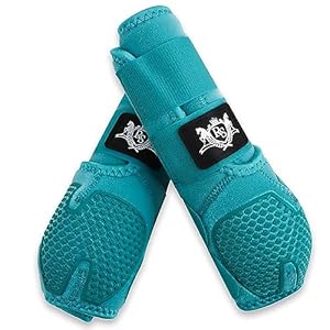 RS Premium Design Horse Boots, Protective and Shock Absorber | Horse Fly Boots Best for Jump Training and for Trails | Ok Fabric Provides Ultimate Flexibility (Torquoise, Medium)