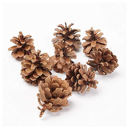 Pomme De Pin 1gk (50) Décoration De Noël Sapin Austriaca Naturel