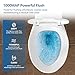 SUPERFLO Tall Toilets for Seniors 21 Inch Extra Tall Toilet with S-trap & Single Flush Tank, High Toilet Bowl with Comfort Chair Seat Suitable for Tall Person