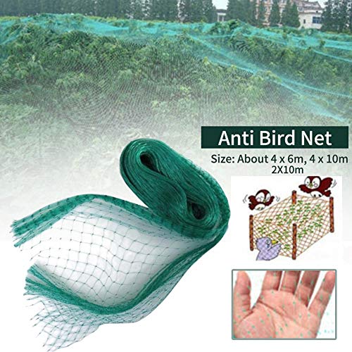 DUMGRN Filet anti-oiseaux, filet de protection pour plantes de bassin, filet de protection pour arbres fruitiers, cultures, parasites pour protéger les semis, légumes, fruits, plantes Cover