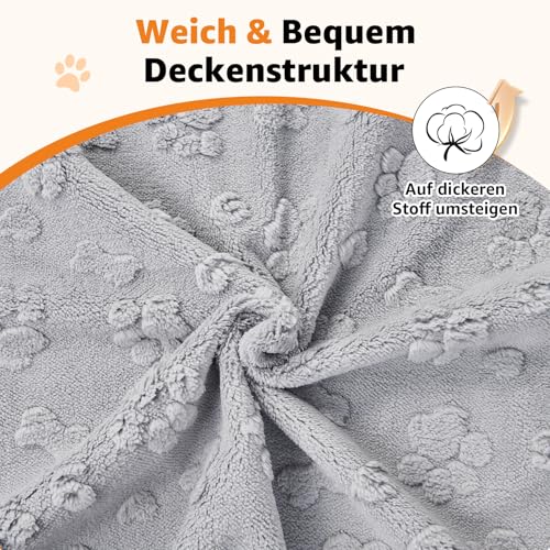 Tapis super absorbants pour chiots et chiens avec base imperméable