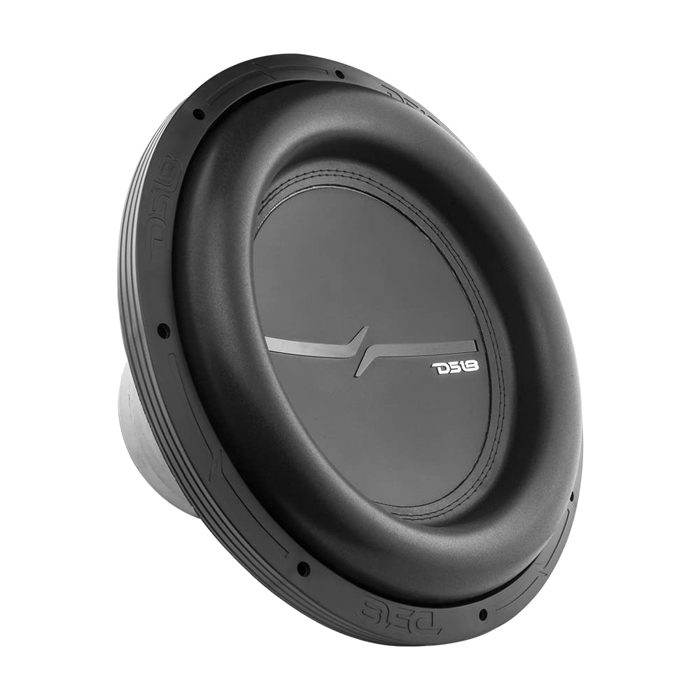 Amazon.com: DS18 ZXI15.4D 15