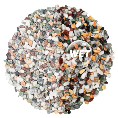 Image of 2lbs Natural Gravel Pebbles for Succulents and Cacti, 1 /5 Inch Decorative River Stones - Perfect for Vases, Aquariums, Terrariums, and Outdoor Gardening, Mixed Colors (Colorful, 2 Pounds)