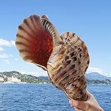 Funktion: Dekorationen Collectibles Town House böse Geister und Sicherheitsprodukte.