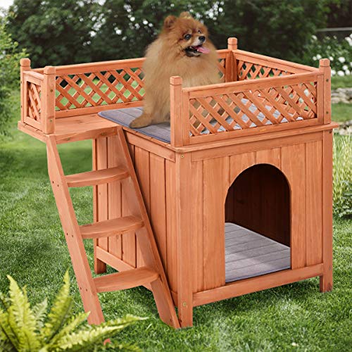 The 6 Best Dog Bunk Beds of 2022