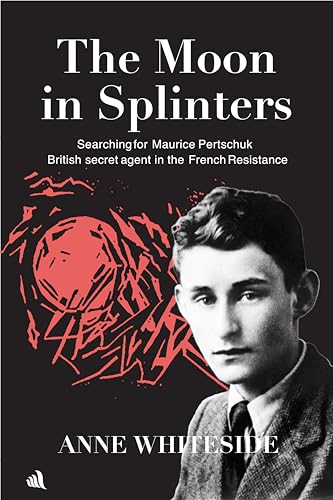 The Moon in Splinters