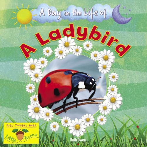 Ruby Tuesday Books Ltd A Ladybird (A Day in the Life Of).