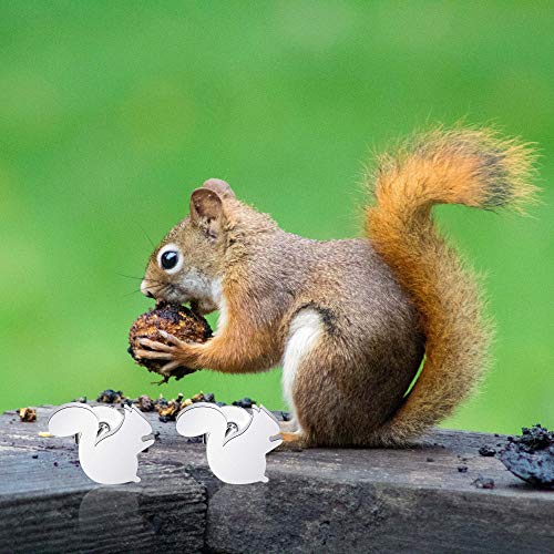 ENSIANTH Squirrel Stud Earrings - Lover's Gift Jewelry for Her3