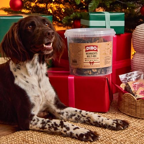 DIBO Weihnachts-Multi-Mix im 750g Eimer - wiederverschließbar, 100% schonend getrockneter Naturkausnack, natürliches und artgerechtes Barf Leckerli für Hunde zur Vorweihnachtszeit