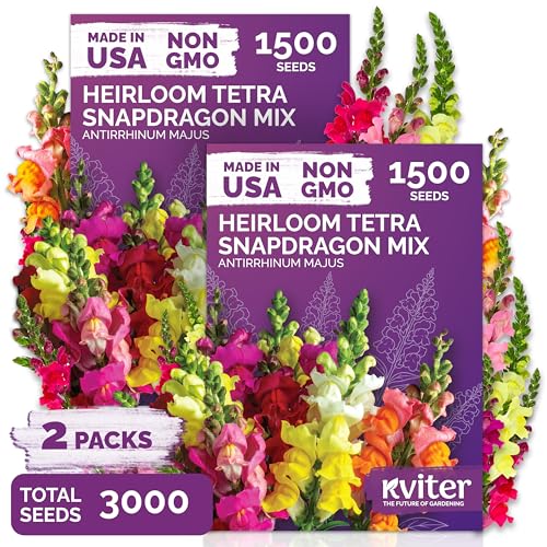 KVITER 3,000 Tetra Mix Snapdragon Seeds, 2 Pack (Antirrhinum Majus) – Heirloom & Organic Tall Snap Dragon Mix, Annual Flower Garden Seeds, Cut Flower Seeds for Planting – Outdoor Garden & Containers