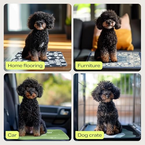 Image of PETSPY Washable Pee Pads for Dogs - Super Absorbent Reusable Puppy Training Pads - 100% Waterproof, Leak-Proof & Non-Slip Whelping Pads for Pet Housebreaking
