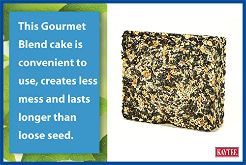 Kaytee Wild Bird Gourmet Seed Cake for Cardinals,Chickadees,Juncos,Titmice,Woodpeckers and More,2 Pounds,(Pack of 2) - image 8