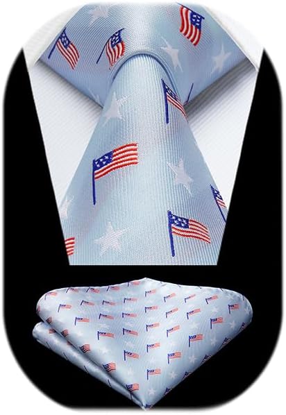 HISDERN Mens Ties Plaid Tie and Pocket Square Set Classic Woven Formal Checkered Neckties & Handkerchief Wedding Party