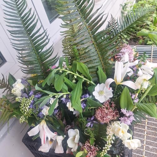 some little pieces of good news amidst the difficulty